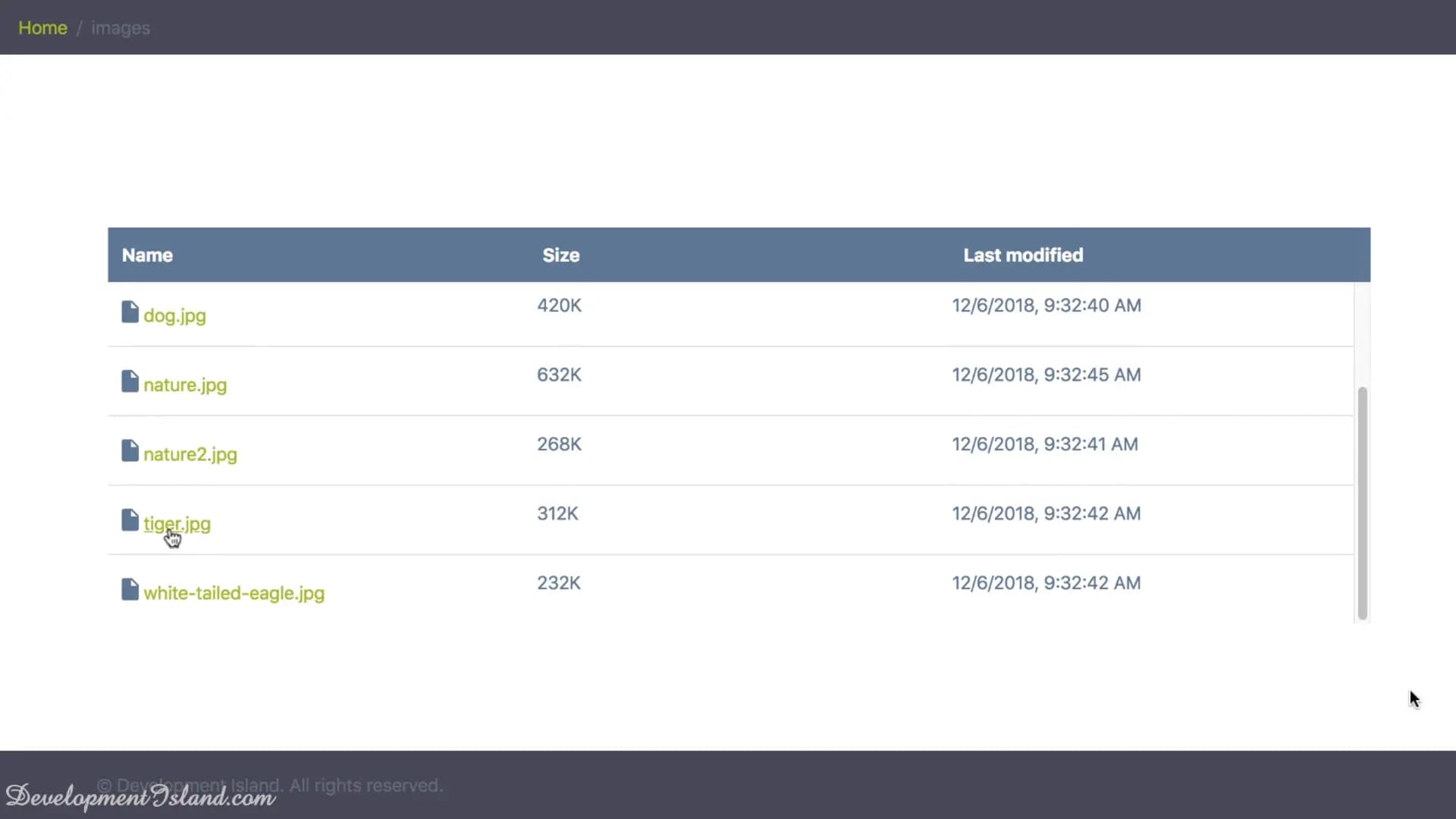 NodeDrive: Cloud File Explorer